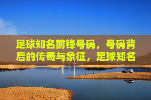足球知名前锋号码,号码背后的传奇与象征,足球知名前锋号码,号码背后的传奇与象征