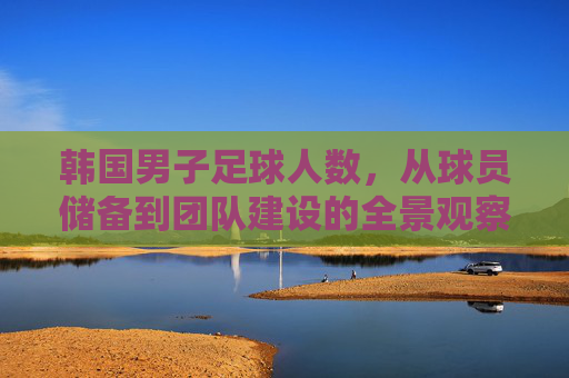 韩国男子足球人数,从球员储备到团队建设的全景观察,韩国男子足球,从球员储备到团队建设的全景观察