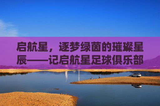 启航星,逐梦绿茵的璀璨星辰——记启航星足球俱乐部,启航星,逐梦绿茵的璀璨星辰——记启航星足球俱乐部