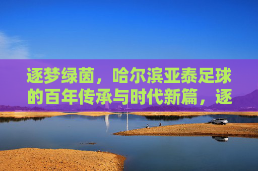 逐梦绿茵，哈尔滨亚泰足球的百年传承与时代新篇，逐梦绿茵，哈尔滨亚泰足球的百年传承与时代新篇