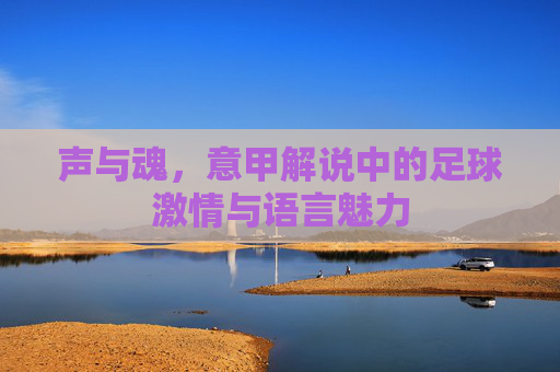 声与魂,意甲解说中的足球激情与语言魅力