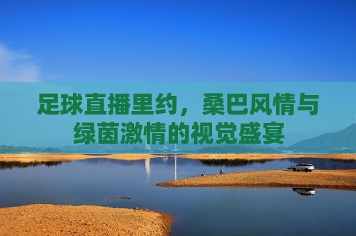足球直播里约,桑巴风情与绿茵激情的视觉盛宴