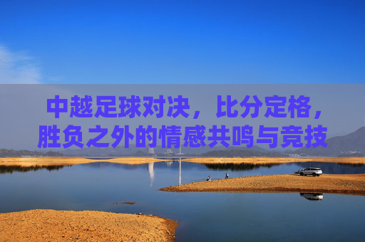 中越足球对决,比分定格,胜负之外的情感共鸣与竞技火花,中越足球对决,比分定格,胜负之外的情感共鸣与竞技火花