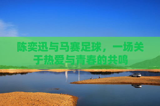 陈奕迅与马赛足球,一场关于热爱与青春的共鸣
