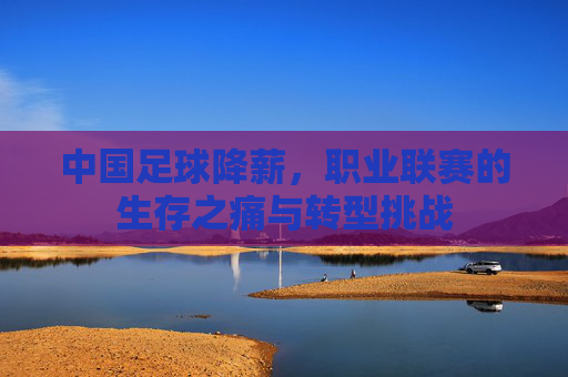中国足球降薪，职业联赛的生存之痛与转型挑战