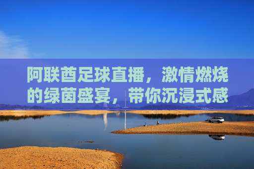 阿联酋足球直播,激情燃烧的绿茵盛宴,带你沉浸式感受中东足球魅力