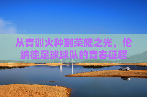 从青训火种到荣耀之光,伦纳德足球球队的青春征程