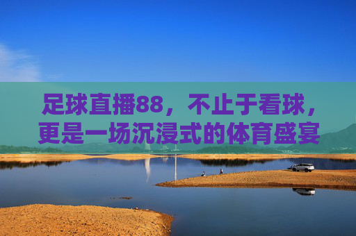 足球直播88,不止于看球,更是一场沉浸式的体育盛宴,足球直播88,不止于看球,一场沉浸式体育盛宴