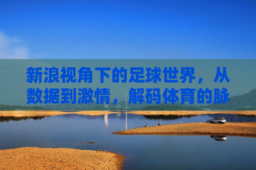 新浪视角下的足球世界,从数据到激情,解码体育的脉搏,新浪视角下的足球世界,从数据到激情,解码体育的脉搏