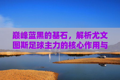 巅峰蓝黑的基石，解析尤文图斯足球主力的核心作用与荣耀传承