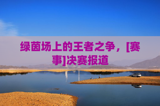 绿茵场上的王者之争，[赛事]决赛报道