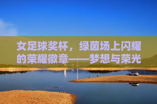 女足球奖杯，绿茵场上闪耀的荣耀徽章——梦想与荣光的见证者