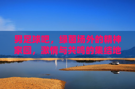 男足球吧,绿茵场外的精神家园,激情与共鸣的集结地