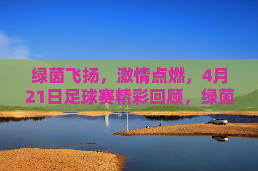 绿茵飞扬,激情点燃,4月21日足球赛精彩回顾,绿茵飞扬,激情点燃,4月21日足球赛精彩回顾