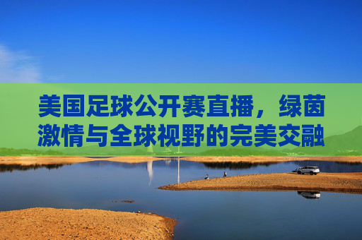 美国足球公开赛直播,绿茵激情与全球视野的完美交融