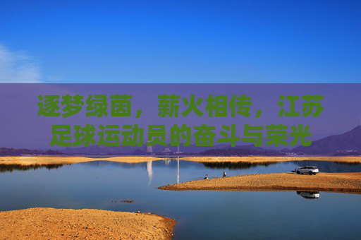 逐梦绿茵，薪火相传，江苏足球运动员的奋斗与荣光