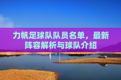 力帆足球队队员名单，最新阵容解析与球队介绍
