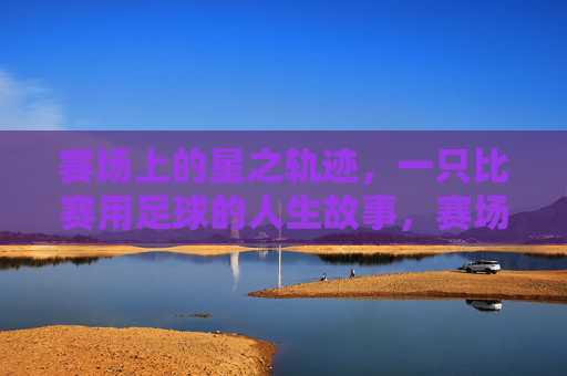 赛场上的星之轨迹,一只比赛用足球的人生故事,赛场上的星之轨迹,一只比赛用足球的人生故事