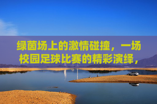绿茵场上的激情碰撞，一场校园足球比赛的精彩演绎，绿茵场上的激情碰撞，一场校园足球比赛的精彩演绎