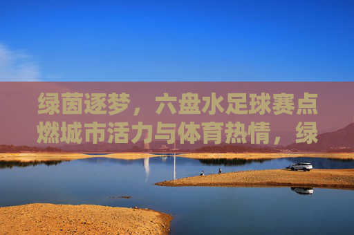 绿茵逐梦，六盘水足球赛点燃城市活力与体育热情，绿茵逐梦，六盘水足球赛点燃城市活力与体育热情