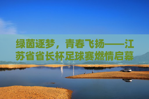 绿茵逐梦，青春飞扬——江苏省省长杯足球赛燃情启幕，点亮青少年足球未来，绿茵逐梦，青春飞扬——江苏省省长杯足球赛燃情启幕，点亮青少年足球未来