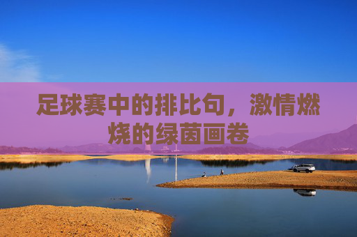 足球赛中的排比句,激情燃烧的绿茵画卷