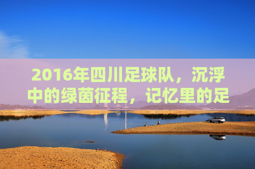 2016年四川足球队,沉浮中的绿茵征程,记忆里的足球温度,2016年四川足球队,沉浮中的绿茵征程,记忆里的足球温度