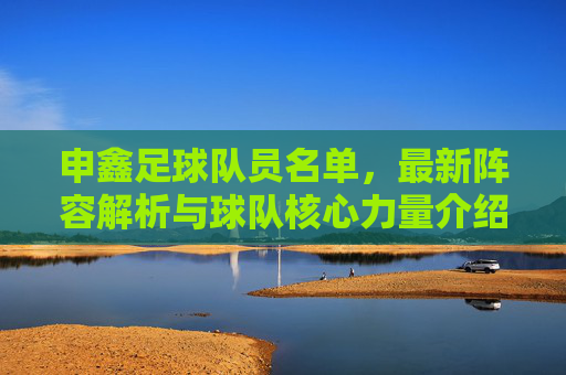 申鑫足球队员名单,最新阵容解析与球队核心力量介绍,申鑫足球队员名单,最新阵容解析与核心力量详解