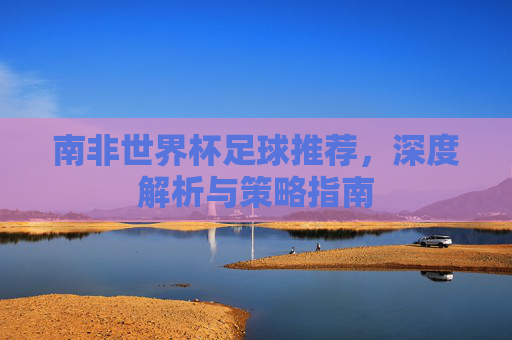 南非世界杯足球推荐，深度解析与策略指南