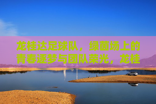龙桂达足球队,绿茵场上的青春逐梦与团队荣光,龙桂达足球队,绿茵场上的青春逐梦与团队荣光