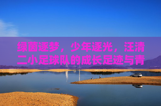 绿茵逐梦，少年逐光，汪清二小足球队的成长足迹与青春风采