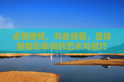 点燃激情,共赴绿茵,足球赛精彩串词的艺术与技巧