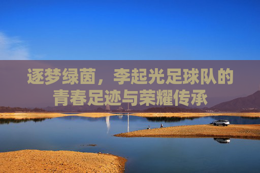 逐梦绿茵,李起光足球队的青春足迹与荣耀传承