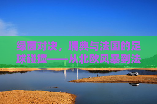 绿茵对决,瑞典与法国的足球碰撞——从北欧风暴到法兰西雄狮的竞技博弈