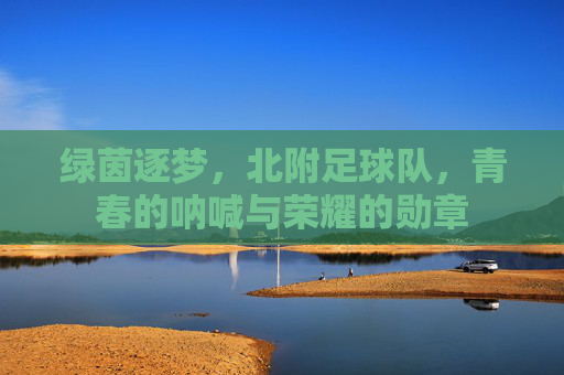 绿茵逐梦,北附足球队,青春的呐喊与荣耀的勋章