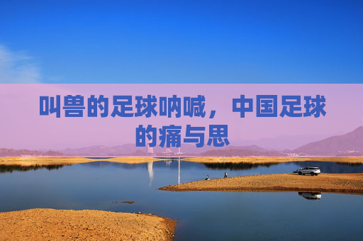 叫兽的足球呐喊,中国足球的痛与思