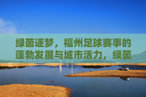 绿茵逐梦，福州足球赛事的蓬勃发展与城市活力，绿茵逐梦，福州足球赛事的蓬勃发展与城市活力