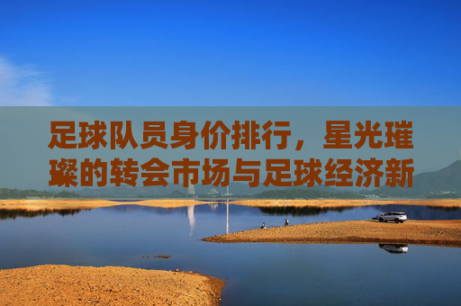 足球队员身价排行,星光璀璨的转会市场与足球经济新格局,足球队员身价排行,星光璀璨的转会市场与足球经济新格局