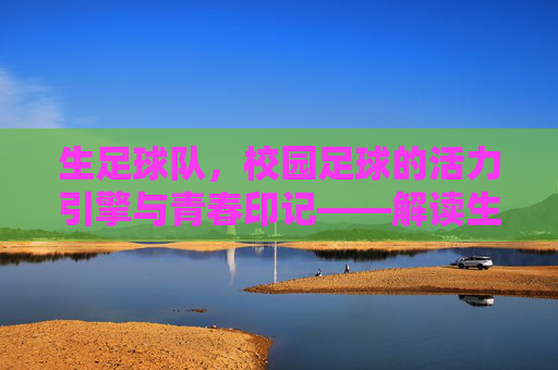 生足球队，校园足球的活力引擎与青春印记——解读生足球队的核心内涵与时代价值，生足球队，校园足球的活力引擎与青春印记——解码其核心内涵与时代价值