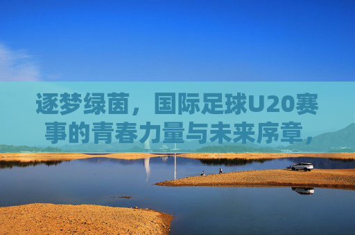 逐梦绿茵，国际足球U20赛事的青春力量与未来序章，逐梦绿茵，国际足球U20赛事的青春力量与未来序章
