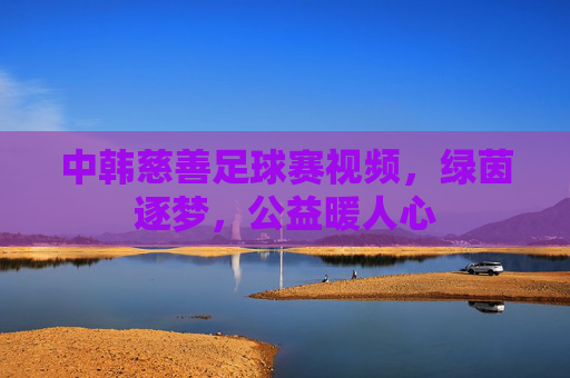 中韩慈善足球赛视频,绿茵逐梦,公益暖人心