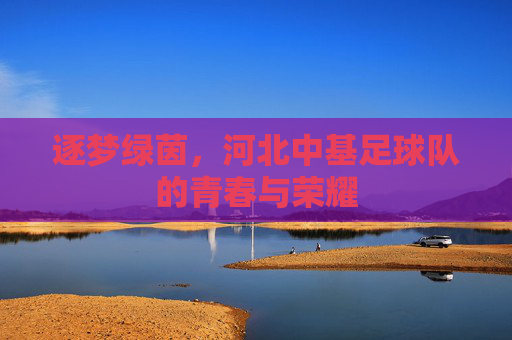 逐梦绿茵，河北中基足球队的青春与荣耀
