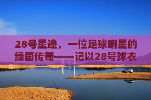 28号星途，一位足球明星的绿茵传奇——记以28号球衣驰骋的足球天才，28号星途，记以28号球衣驰骋的足球天才的绿茵传奇