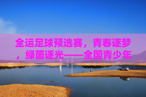 全运足球预选赛，青春逐梦，绿茵逐光——全国青少年足球精英的竞技舞台与成长印记