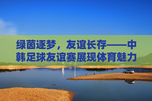 绿茵逐梦,友谊长存——中韩足球友谊赛展现体育魅力与文化交融