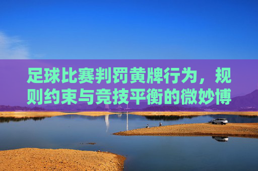 足球比赛判罚黄牌行为,规则约束与竞技平衡的微妙博弈