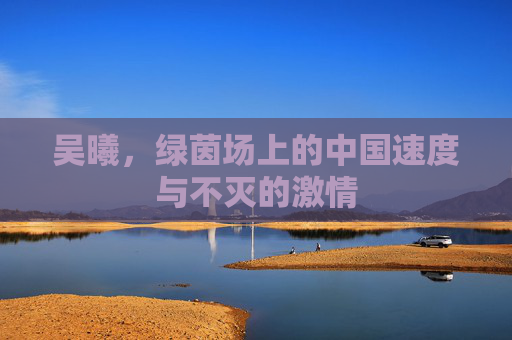吴曦,绿茵场上的中国速度与不灭的激情