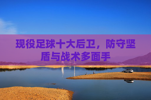 现役足球十大后卫，防守坚盾与战术多面手