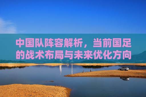 中国队阵容解析,当前国足的战术布局与未来优化方向