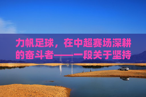 力帆足球,在中超赛场深耕的奋斗者——一段关于坚持与求索的足球记忆